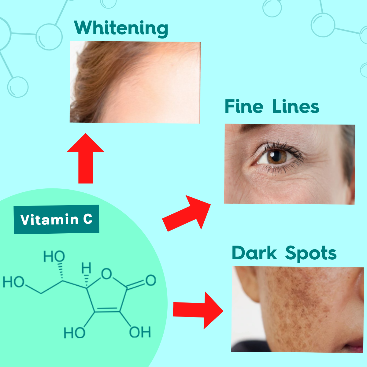 Benefits of Vitamin C for Your Skin