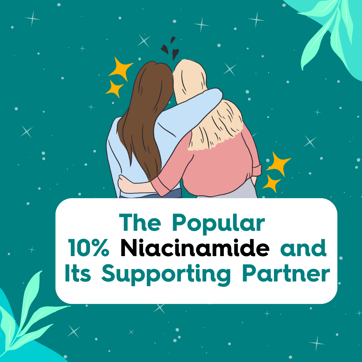 The Popular 10% Niacinamide and Its Supporting Partner