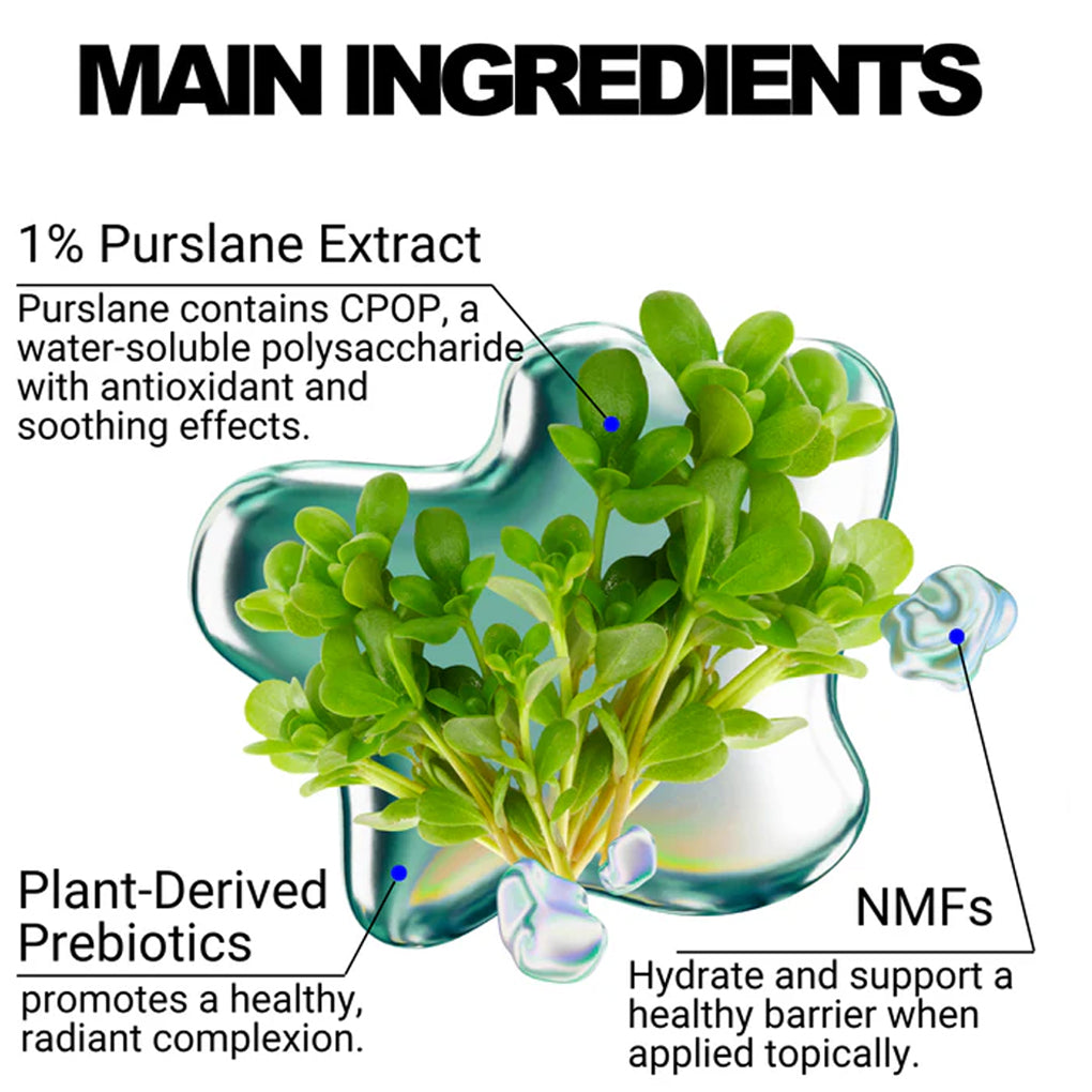 Purslane Prebiotic Moisturizer