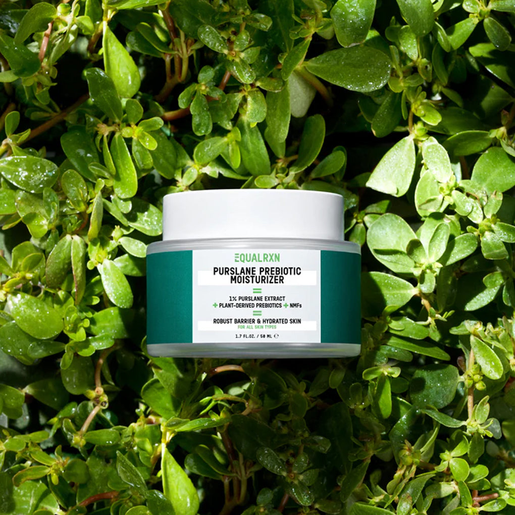 Purslane Prebiotic Moisturizer